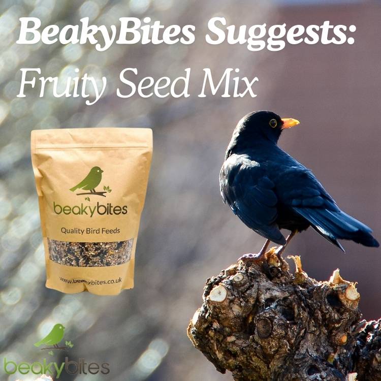 Beakybites suggest fruity seed mix